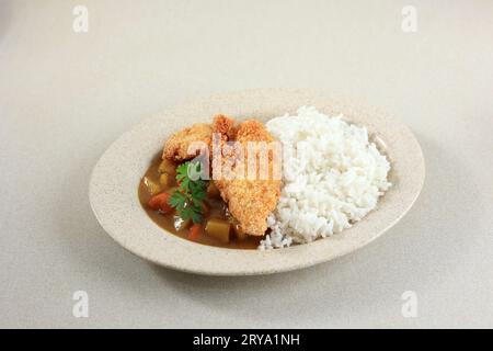 Porc frit, bœuf ou curry de poulet avec riz - style culinaire japonais. Vue de dessus sur la table en bois noir de plaque de céramique avec pommes de terre et dés de carotte Banque D'Images