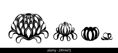 Ensemble vectoriel de pivoines monochromes isolées de l'arrière-plan. Fleurs stylisées noires pour icônes, autocollants, infographies et votre design Illustration de Vecteur