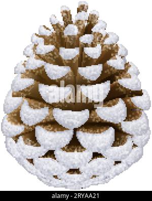 Cône de pin argenté sec réaliste. Fruit boisé décoratif unique d'un arbre de conifère. Élément de conception pour les thèmes de Noël, ou cartes postales Illustration de Vecteur