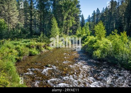 Rapids, Big Elk Creek Trail, Snake River Range, Greater Yellowstone Rockies, Targhee National Forest, Idaho, ÉTATS-UNIS Banque D'Images
