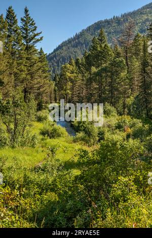 Sentier de Big Elk Creek, chaîne de montagnes Snake River, grandes Rocheuses Yellowstone, forêt nationale Targhee, Idaho, ÉTATS-UNIS Banque D'Images