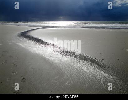 Gewitterstimmung an der Nordsee ; drohend schwarze Wolken, Strand glänzt in letzten Sonnenstrahlen * nuages de tempête sombres se profilant sur une plage ensoleillée Banque D'Images