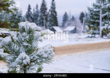 Paysage rural d'hiver avec route dans les dérives de neige, arbres couverts de neige dans le fond défocalisé du village sibérien russe. Saison d'hiver. Banque D'Images