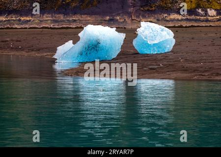 Icebergs du glacier Sawyer dans le fjord de Tracy Arm près de Juneau, Alaska, États-Unis Banque D'Images