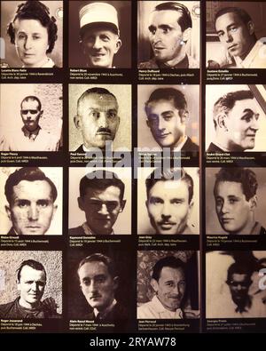 Photos au Musée de la résistance et de la Déportation, Grenoble, France, de combattants de la résistance française de la Seconde Guerre mondiale qui ont été déportés par les nazis au travail et au conc Banque D'Images