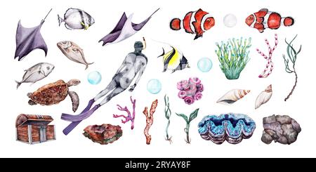 Ensemble aquarelle de récif corallien sous-marin avec plongeur libre, poissons tropicaux, algues, galets, coraux et coquillages. Illustration dessinée à la main parfaite pour Banque D'Images