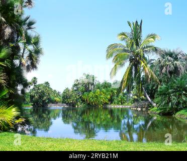 Fairchild Tropical Gardens Miami Florida Lake entouré de palmiers Banque D'Images