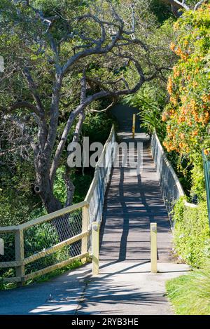 Une petite passerelle en bois, faisant partie de la promenade de North Harbour entre North Harbour Reserve et Forty baskets Beach à Sydney, Nouvelle-Galles du Sud, Australie Banque D'Images