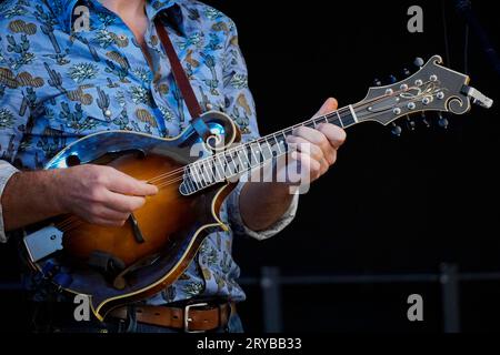 Gros plan d'un musicien jouant d'une mandoline Banque D'Images