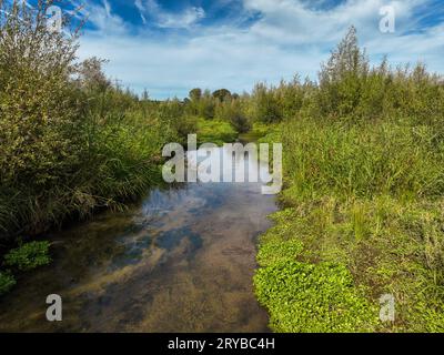 Bottrop-Gladbeck, Nordrhein-Westfalen, Deutschland - Renaturierte Boye, der Nebenfluss der Emscher, wurde zum naturnahem Gewaesser umgestaltet, Hochwasserschutz und Biodiversitaet durch neu gestaltete Ueberflutungsflaechen. Die Boye ist nach dem Bau eines Parallel verlaufenden Abwasserkanals jetzt abwasserfrei, gehoert zum Flusssystem der Emscher und somit zum Emscherumbau, war vorher ein offener, oberirdischer Schmutzwasserkanal, Mischwasserkanal mit Oberflaechenwasser und Abwasser. Bottrop Nordrhein-Westfalen Deutschland *** Bottrop Gladbeck, Rhénanie du Nord-Westphalie, Allemagne Garçon renaturalisé Banque D'Images