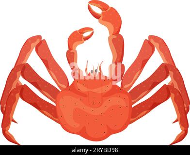 Crabe rouge aux fruits de mer. Crustacé marin, illustration vectorielle de dessin animé de cuisine de fruits de mer saine Illustration de Vecteur