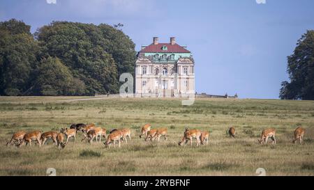 Cerf devant Klampenborg, Hermitage Hunting Lodge à Dyrehaven, Danemark Banque D'Images