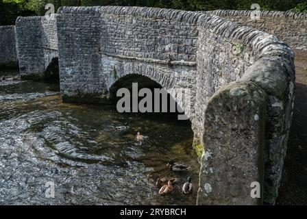 Le pont Sheepwash sur la rivière Wye à Ashford-in-the-Water, parc national de Peak District, Derbyshire Banque D'Images