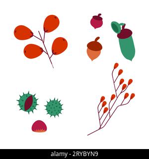 Affiche d'automne. Récolte des plantes forestières. Graine de châtaigne. Chêne gland. Rose hanche. Viburnum ou baies rowan sur brindille. Flore de la saison d'automne. Feuilles rouges simples. Thanksgiving nature. Ensemble d'éléments automnaux vectoriels Illustration de Vecteur