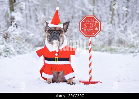 Chien Bulldog français portant le costume du Père Noël à côté du signe d'arrêt du Père Noël dans le paysage d'hiver Banque D'Images