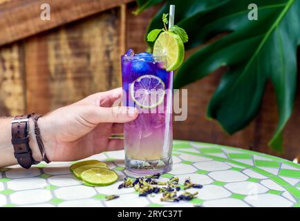 Main tenant limonade avec des fleurs de pois papillon et sirop bleu sur fond de feuilles de narutral avec espace de copie Banque D'Images