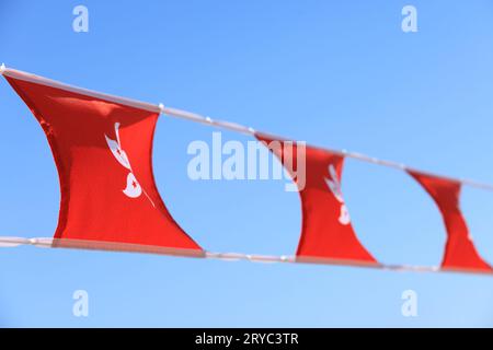 Drapeau chinois et hongkongais installé dans l'événement pour célébrer le 74 e anniversaire de la fête nationale de la République populaire de Chine au marché de Sheung WAN, Hong Kong Banque D'Images