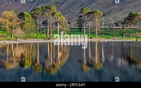 Reflets Buttermere (2) Banque D'Images