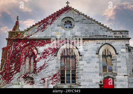 Lierre rouge d'automne poussant sur un mur de Liberton Kirk ou Church, Édimbourg, Écosse, Royaume-Uni Banque D'Images