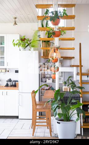 Escalier modulaire en métal avec marches en bois à l'intérieur blanc d'une maison verte avec des plantes en pot, pot de fleurs suspendu, abat-jour Banque D'Images