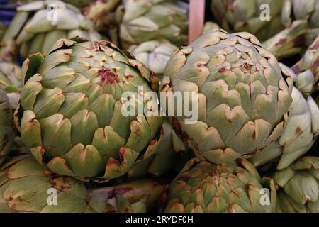 Artichauts globe frais verts sur l'étal du marché Banque D'Images