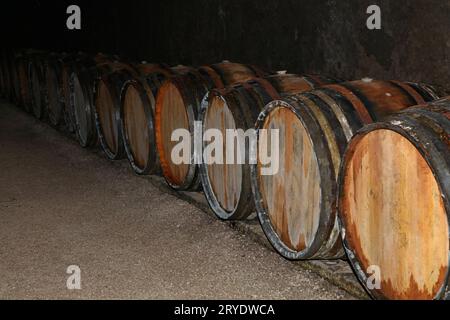 Rangées de fûts de vin en bois de chêne dans la cave de la cave Banque D'Images