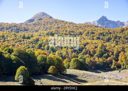 Vallée ensoleillée dans le parc national des Abruzzes en automne Banque D'Images