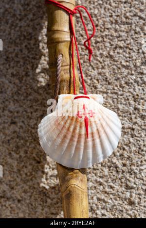 Bâton de marche et coquillage du Camino de Santiago Banque D'Images