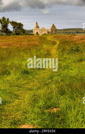 Capel lligwy, ruine de chapelle ou église du XIIe siècle, herbe comme copyspace, botton. Près de Moelfre, Anglesey, pays de Galles du Nord, Royaume-Uni, portrait. Banque D'Images