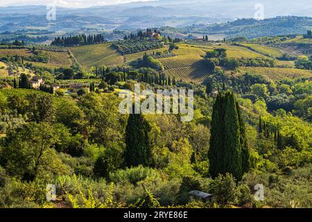 Une photo surplombant les collines et les vignobles de San Gimignano. Banque D'Images