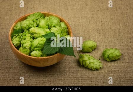 Bol en bois de houblon vert frais sur toile de jute Banque D'Images