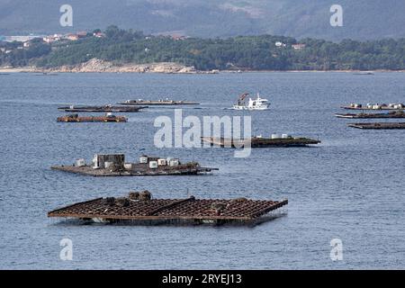 Paysage marin d'un bateau naviguant entre les plates-formes de moules appelé batea Banque D'Images