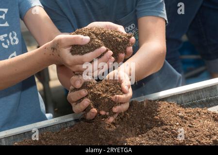 Tenir la terre et l'humus en main Banque D'Images