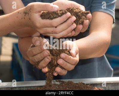 Tenir la terre et l'humus en main Banque D'Images