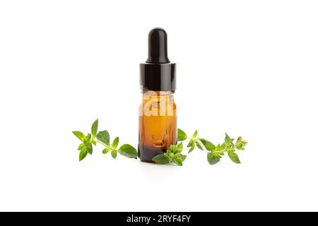 Huile essentielle d'origan et feuilles d'origan fraîches isolées sur fond blanc. Huile vulgare d'Origanum Banque D'Images