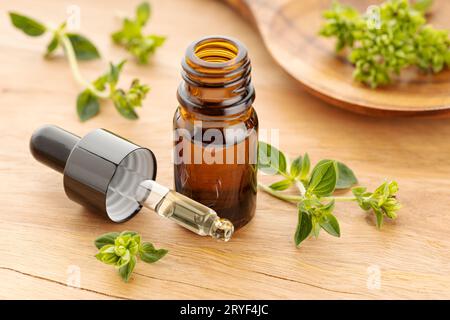 Huile essentielle d'origan et origan frais sur table en bois. Huile d'Origanum vulgare Banque D'Images