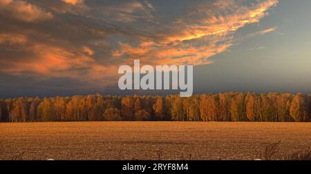 Ciel orageux de coucher de soleil sur le champ de chaume d'automne Banque D'Images