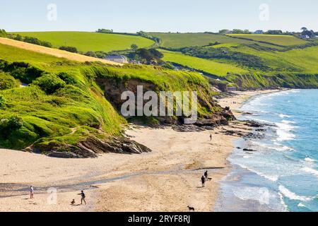 26 mai 2023 : plages de Pendower et Carne, péninsule de Roseland, Cornouailles, Royaume-Uni - les gens marchant des chiens sur la plage, campagne verte de Cornouailles au-dessus Banque D'Images
