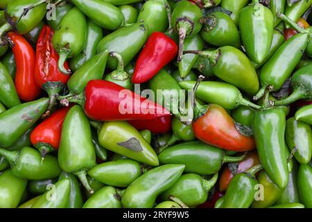 Poivrons rouges chauds au piment jalapeno Banque D'Images