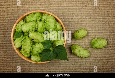 Bol en bois de houblon vert frais sur toile de jute Banque D'Images