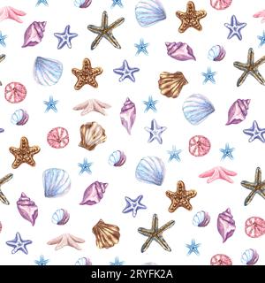 Beach Shells Seamless Pattern Watercolor Pattern avec différentes coquillages Banque D'Images