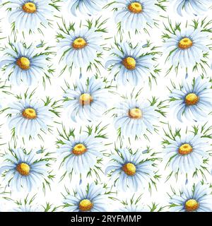 Motif sans couture aquarelle avec de grandes fleurs de camomille. Beckground dessiné à la main avec des fleurs sauvages blanches parfait pour décorer le texte Banque D'Images