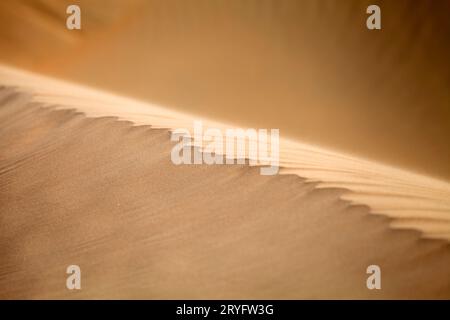 Motif naturel de la dune de sable dans le désert à Dubaï. Macro texture en gros plan. Banque D'Images
