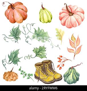 Composition aquarelle de citrouilles florales. Arrangement de citrouille d'automne et de fleurs dans un style rustique. Rouille et fleurs d'oranges brûlées, fal Banque D'Images