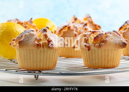 Les soffioni à la ricotta sont un dessert typique des Abruzzes. Banque D'Images