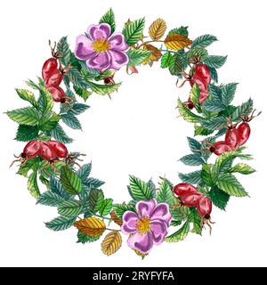 Couronne aquarelle avec branche de rose de chien Banque D'Images