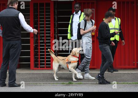 Un chien Sniffer travaillant au Broadfield Stadium avant le match de la Ligue 2 de l'EFL entre Crawley Town et Sutton United. Les chiens de détection de drogue/pyro ont été amenés par le club pour empêcher les supporters d'apporter des éruptions de fumée dans les matchs. *** Les visages de moins de 18 ans ont été pixelisés *** Banque D'Images