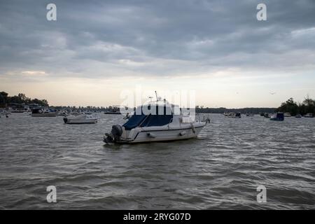 Bateaux ancrés sur le Danube à Zemun, Serbie Banque D'Images