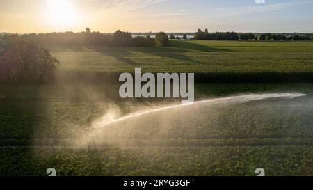 Vue aérienne par un drone d’un champ agricole en cours d’irrigation par un gigantesque et puissant système d’irrigation Banque D'Images