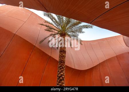 Palmier dans la structure en béton dans la ville de Masdar, Abu Dhabi, eau Banque D'Images